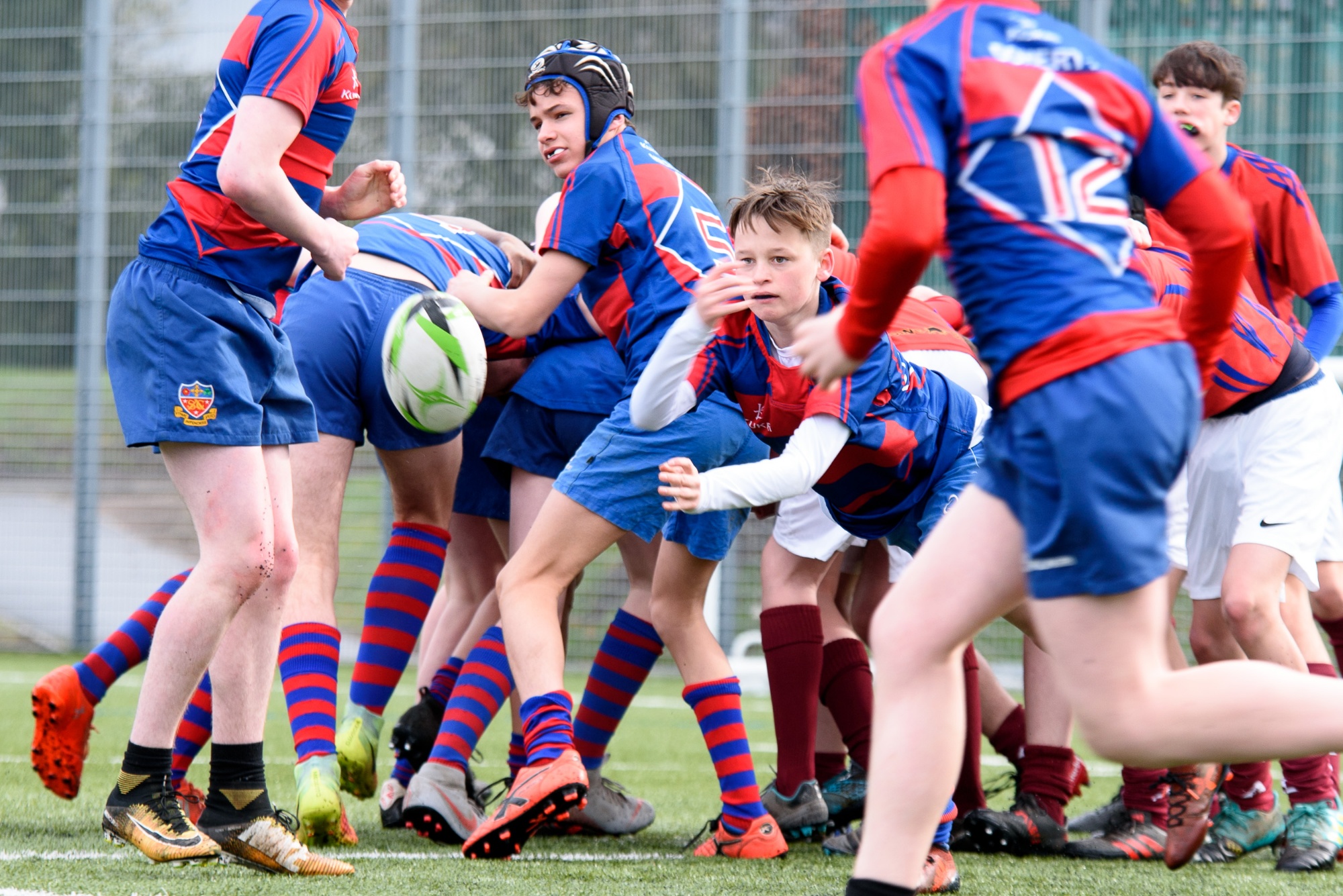 Saint Ambrose College Sport